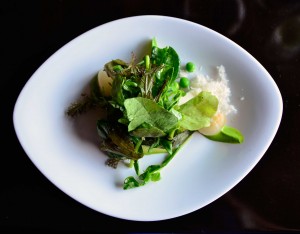 salad.Nita.web
